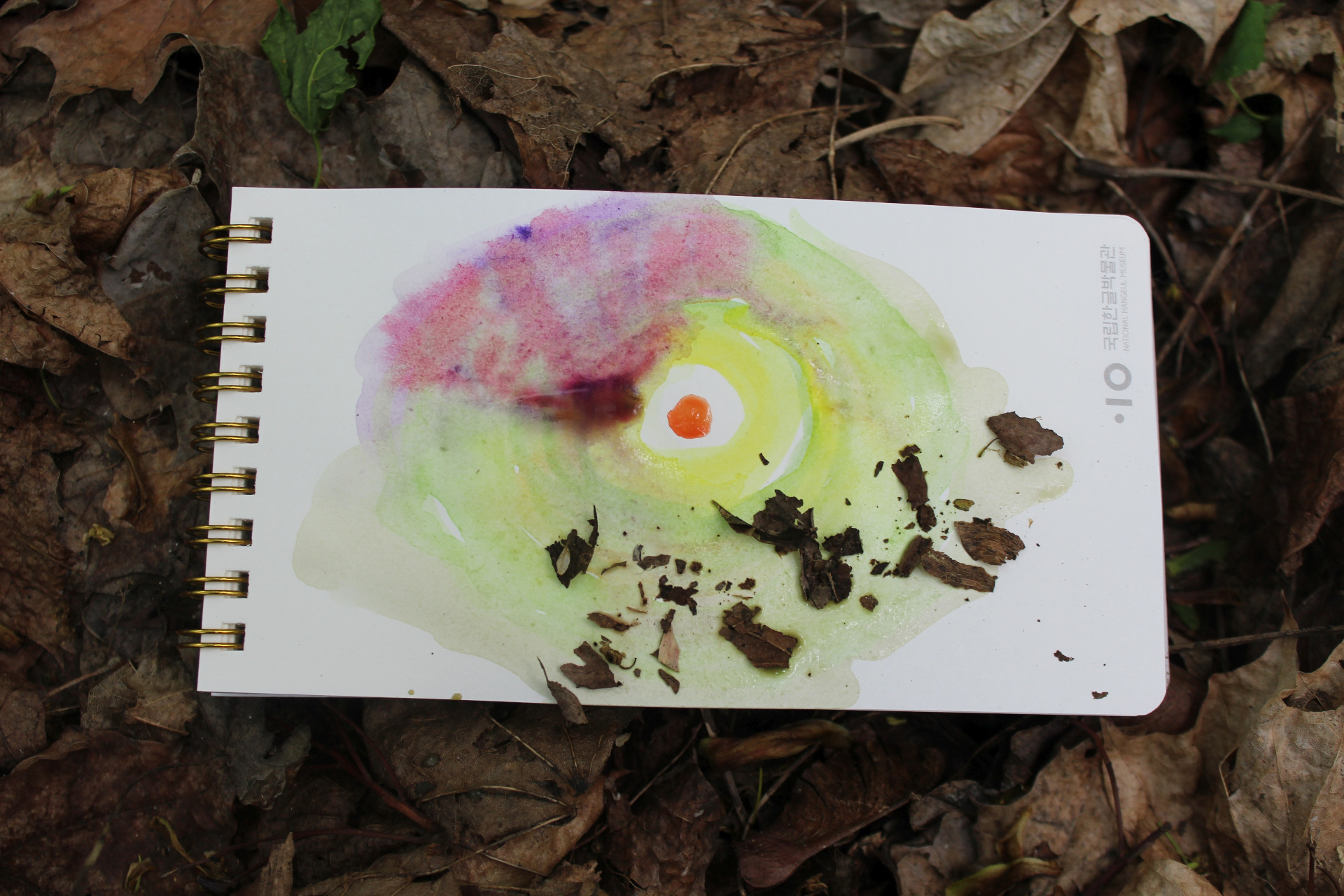 Painting in the forest — Steemkr